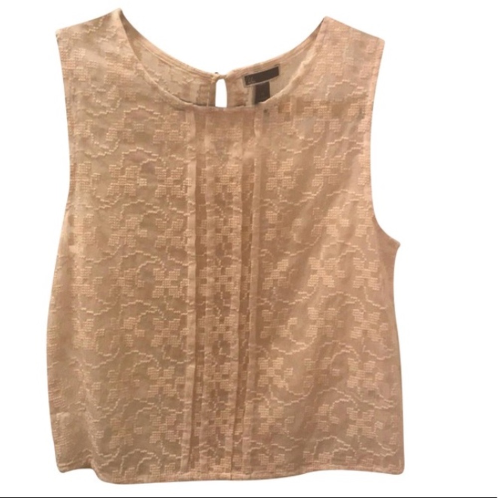 Chelsea28 Beige Embroidered Blouse